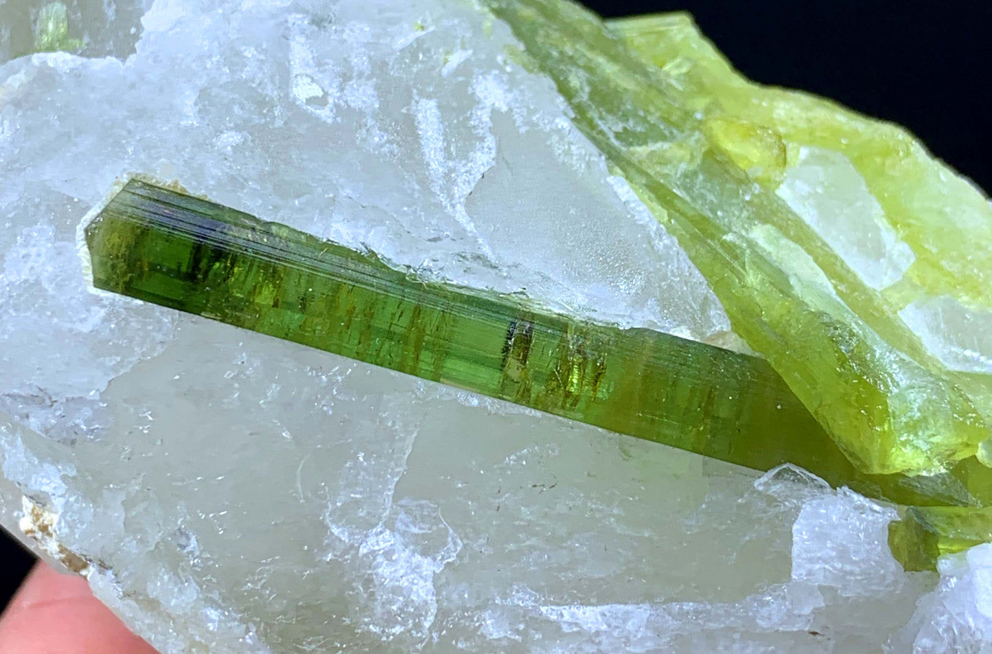 Terminated And Elongated Green Tourmaline Crytal On Quartz From Pakistan
