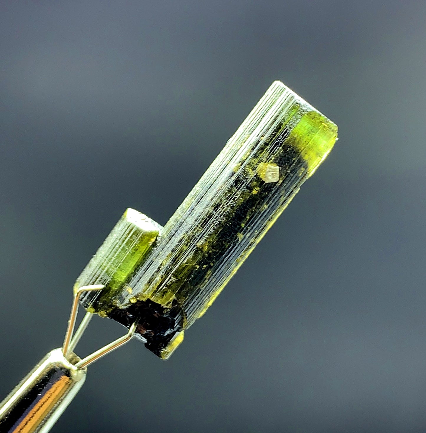 Natural Terminated Green Cap Tourmaline Crystal from Pakistan - 22 carats