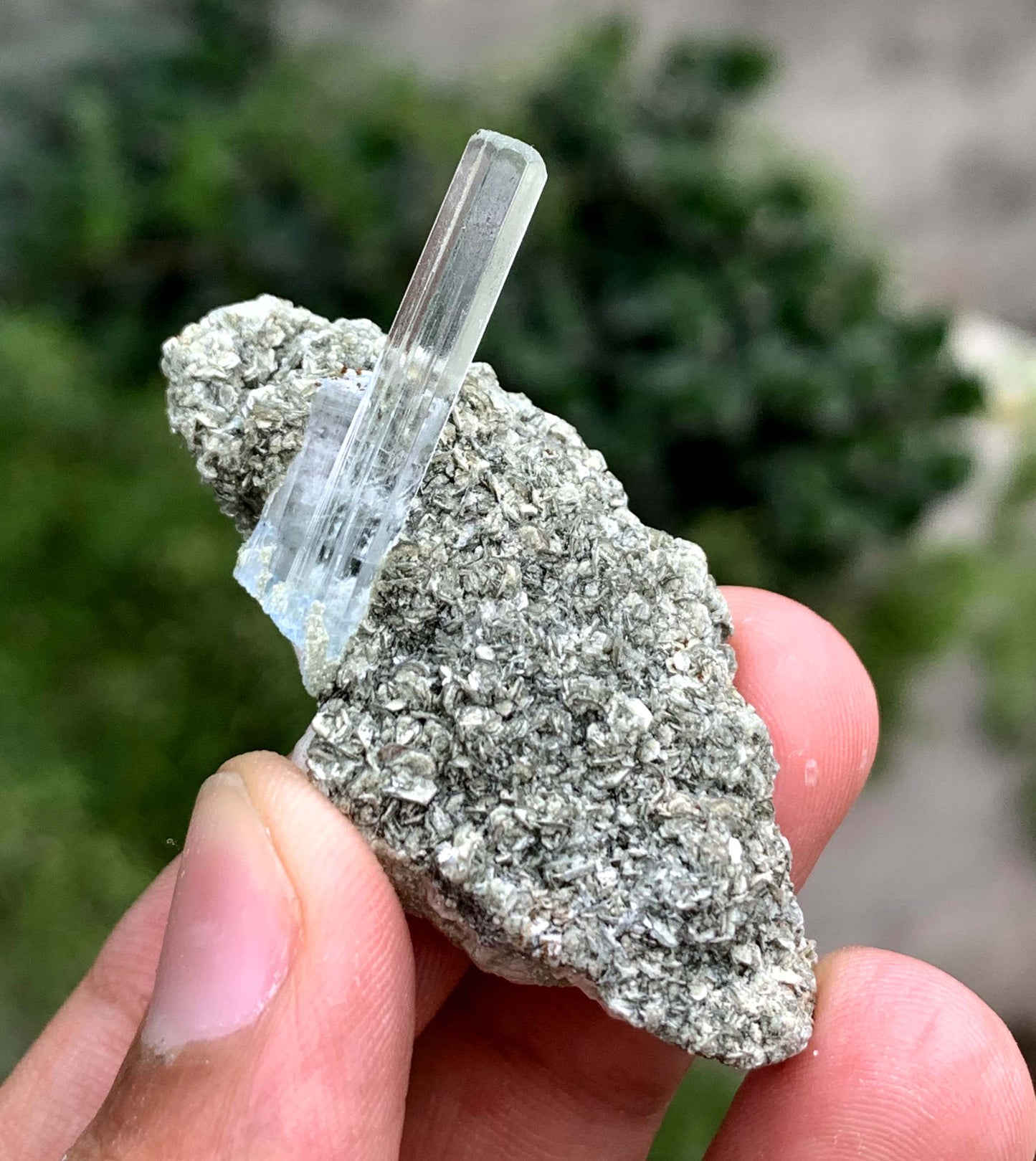Transparent blue Aquamarine Crystal On Matrix From Pakistan 35.25 Carats
