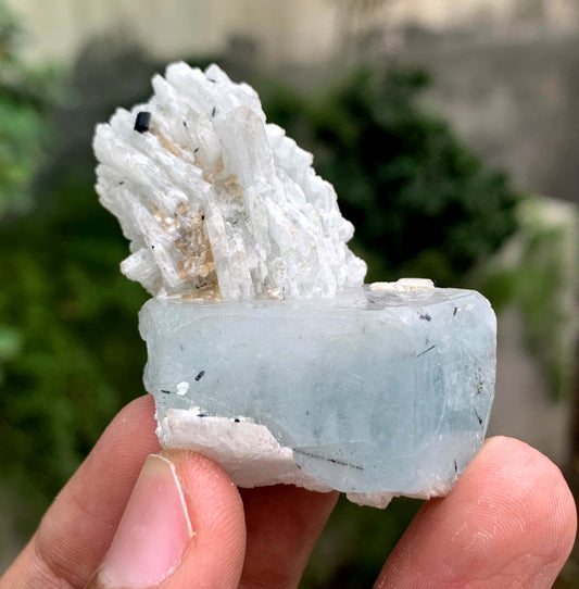 Aquamorganite Crystal On Albite From Pakistan 31 Gram