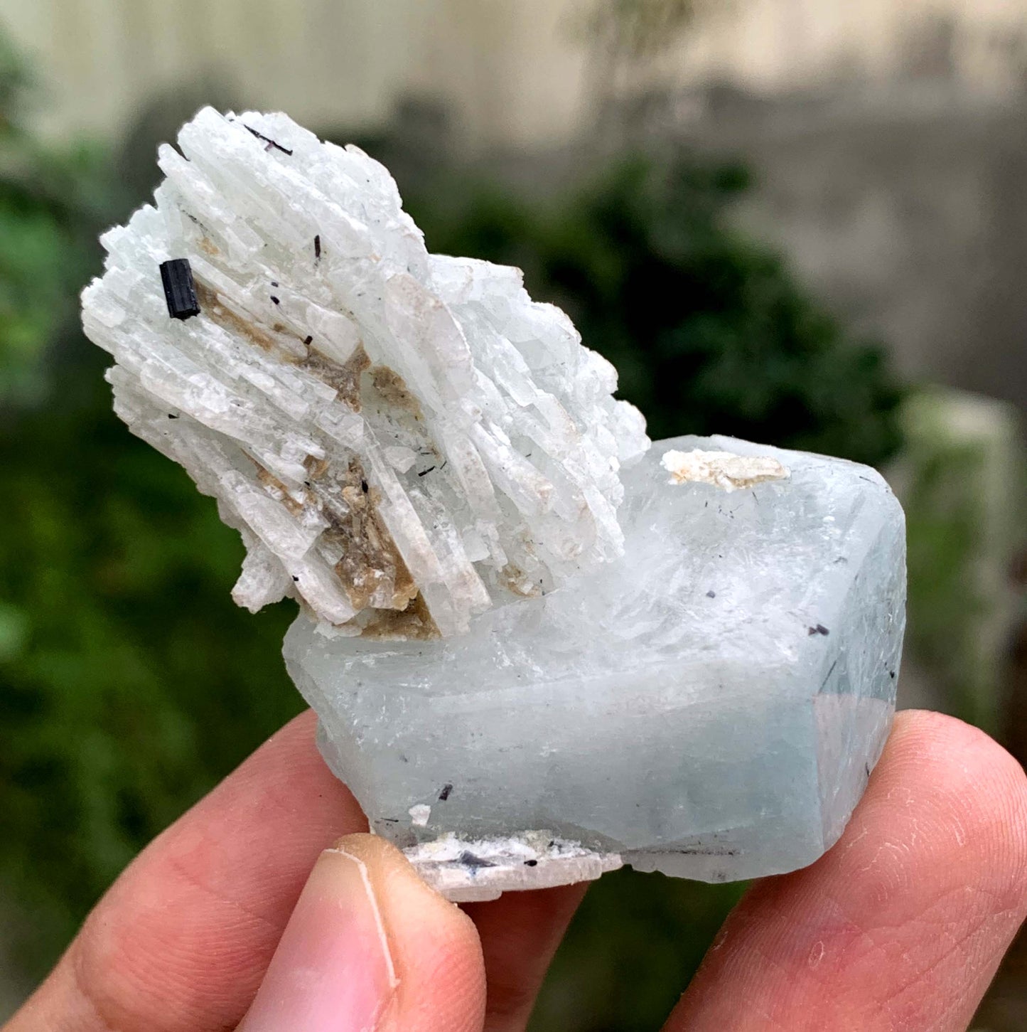 Aquamorganite Crystal On Albite From Pakistan 31 Gram