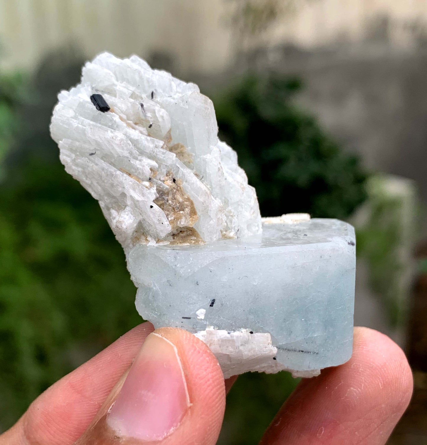 Aquamorganite Crystal On Albite From Pakistan 31 Gram