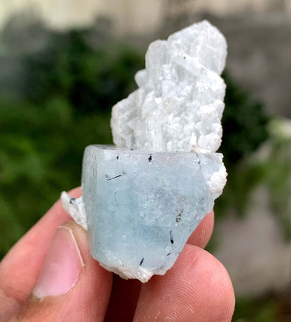 Aquamorganite Crystal On Albite From Pakistan 31 Gram