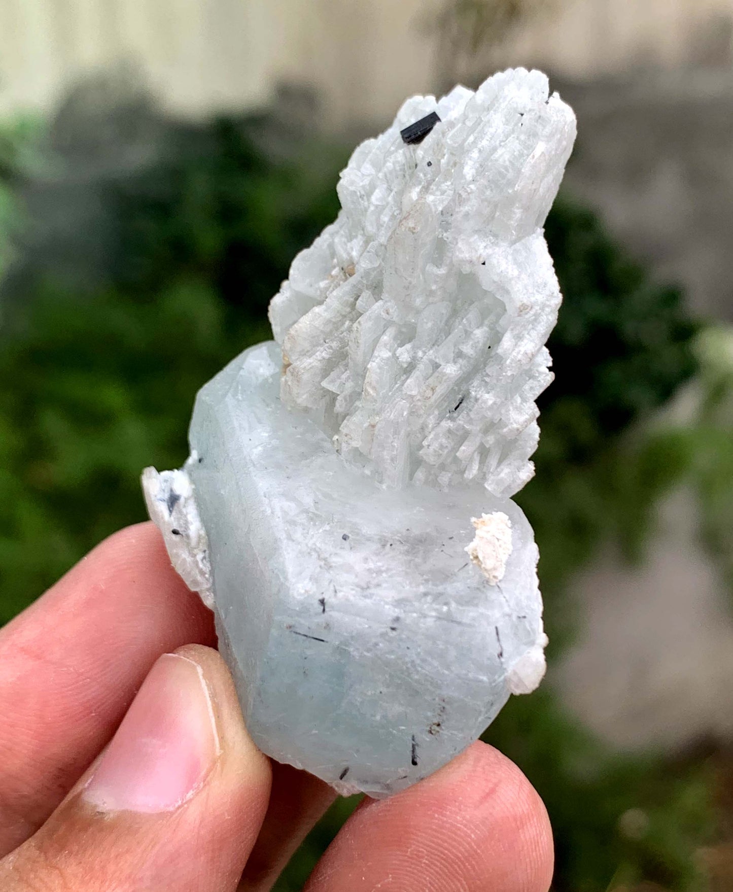 Aquamorganite Crystal On Albite From Pakistan 31 Gram