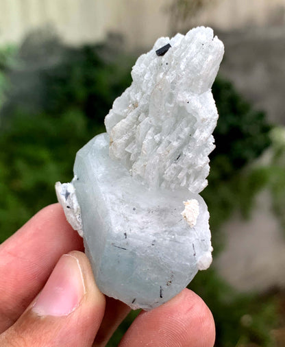 Aquamorganite Crystal On Albite From Pakistan 31 Gram
