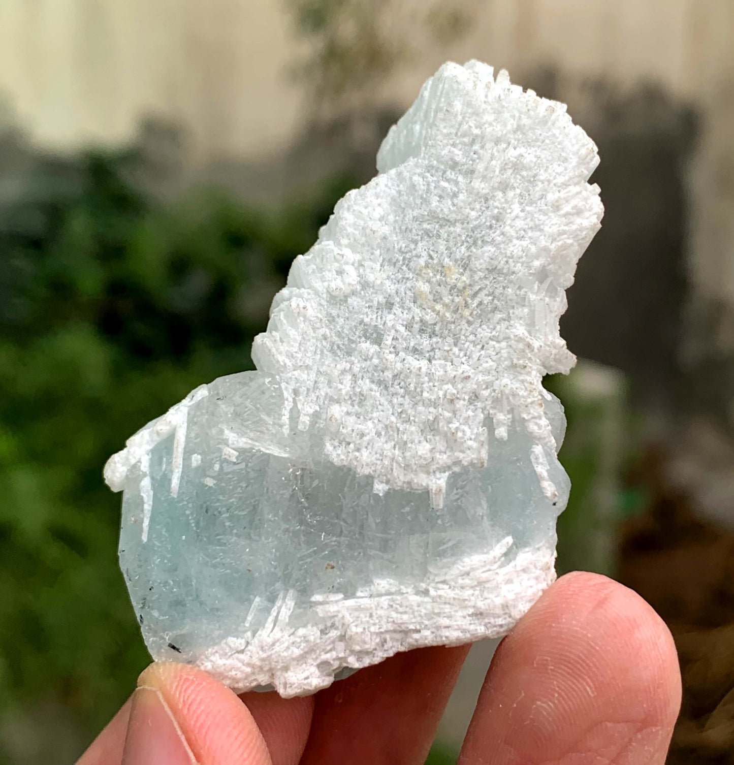 Aquamorganite Crystal On Albite From Pakistan 31 Gram