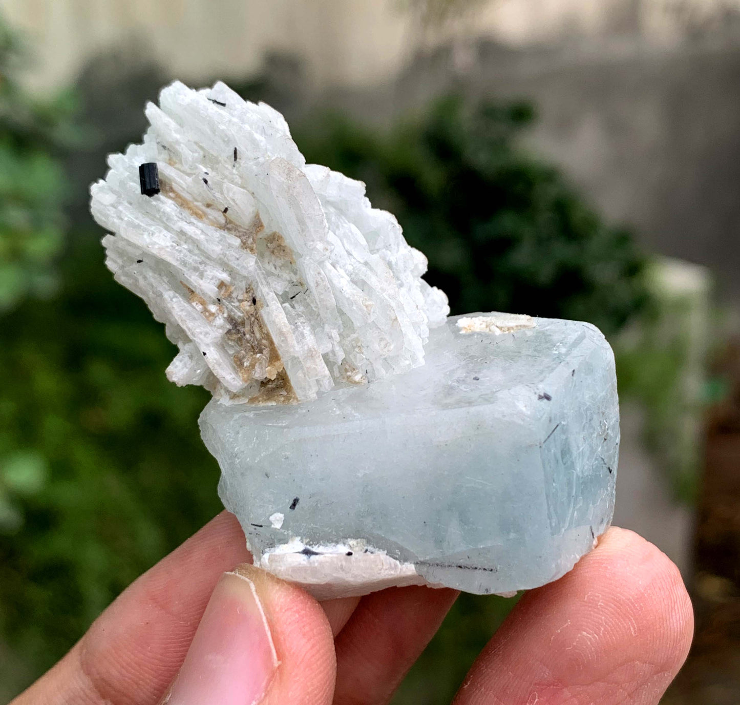 Aquamorganite Crystal On Albite From Pakistan 31 Gram