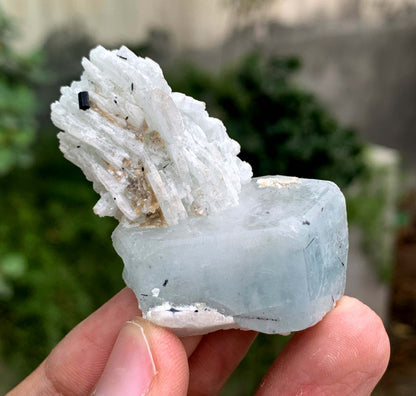 Aquamorganite Crystal On Albite From Pakistan 31 Gram