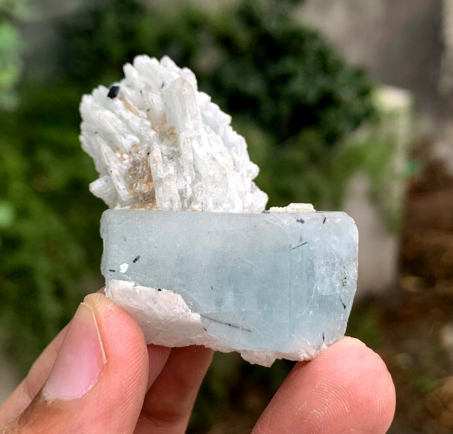 Aquamorganite Crystal On Albite From Pakistan 31 Gram
