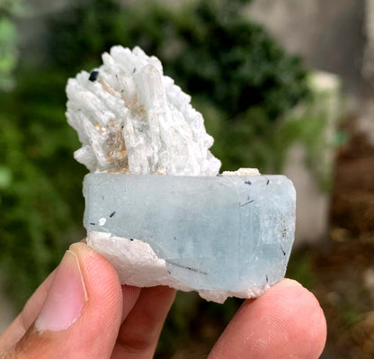 Aquamorganite Crystal On Albite From Pakistan 31 Gram