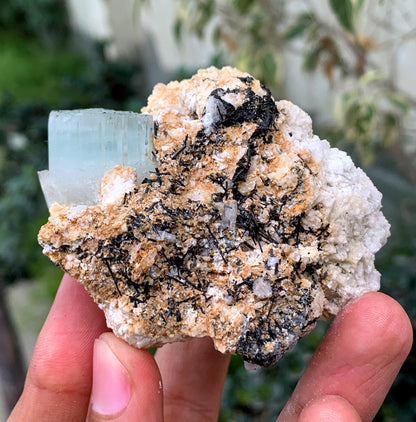 Aquamorganite Bi Color Beryl With Schorl Tourmaline Inclusions And Albite From Pakistan - 184 Gram