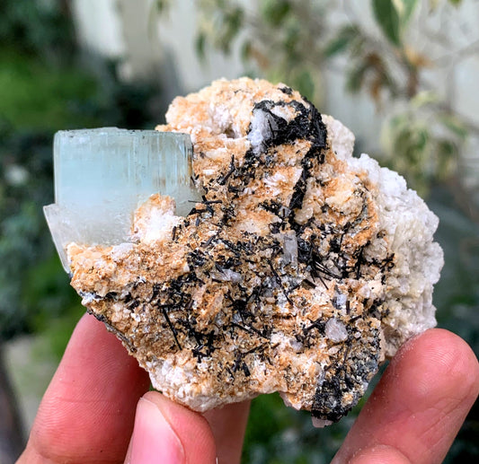 Aquamorganite Bi Color Beryl With Schorl Tourmaline Inclusions And Albite From Pakistan - 184 Gram