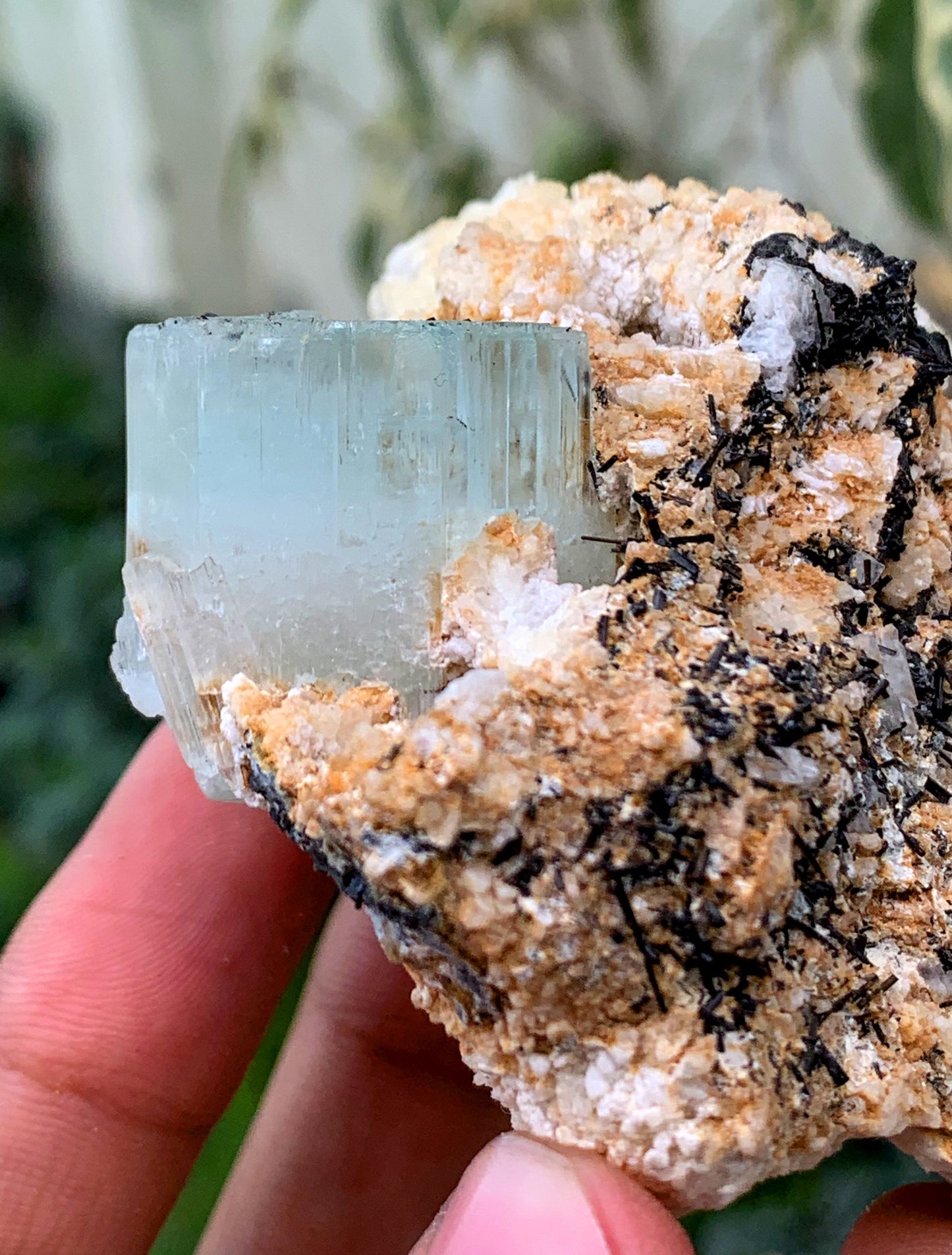 Aquamorganite Bi Color Beryl With Schorl Tourmaline Inclusions And Albite From Pakistan - 184 Gram