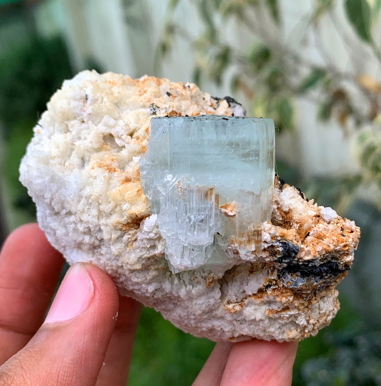 Aquamorganite Bi Color Beryl With Schorl Tourmaline Inclusions And Albite From Pakistan - 184 Gram