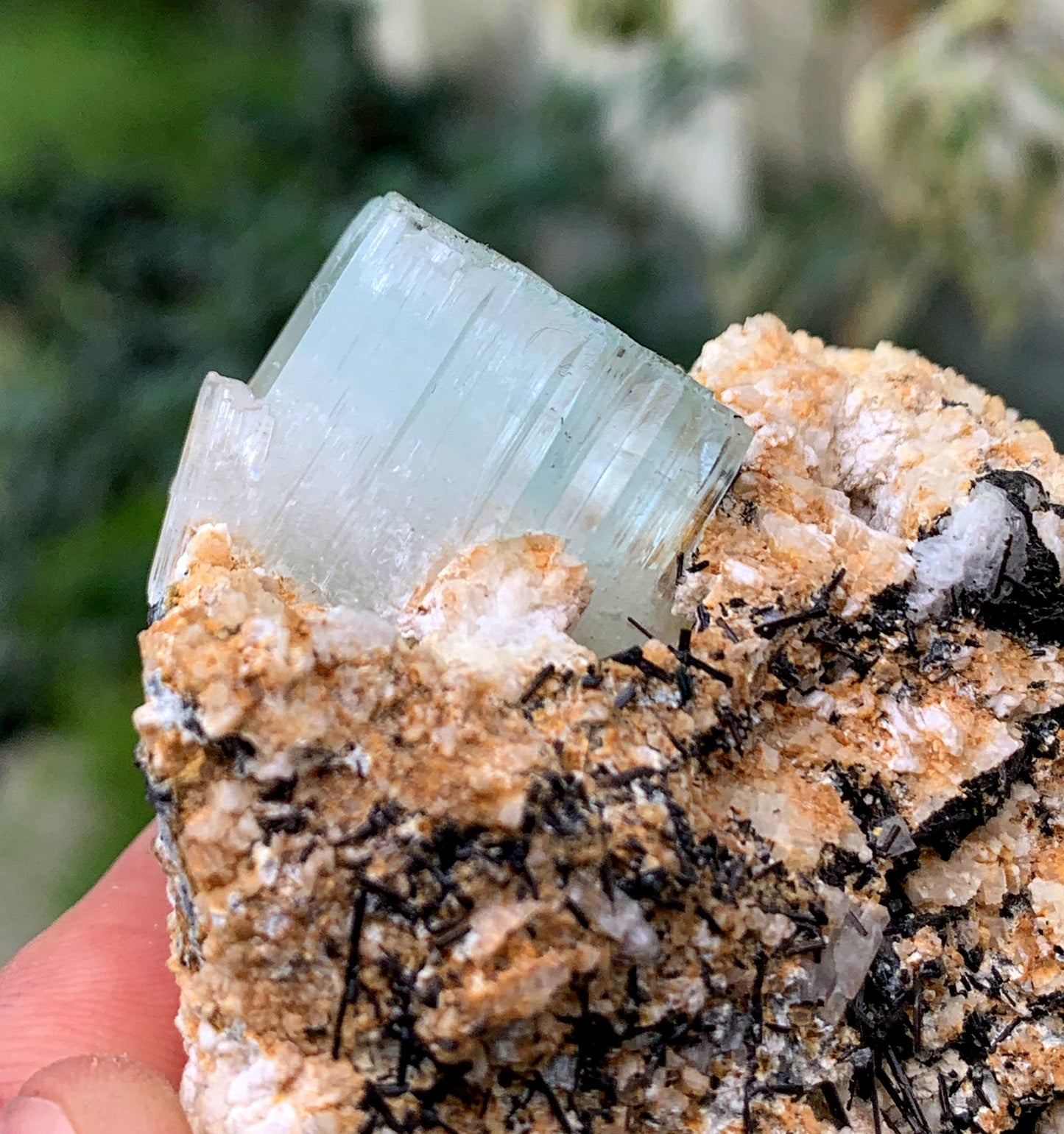 Aquamorganite Bi Color Beryl With Schorl Tourmaline Inclusions And Albite From Pakistan - 184 Gram