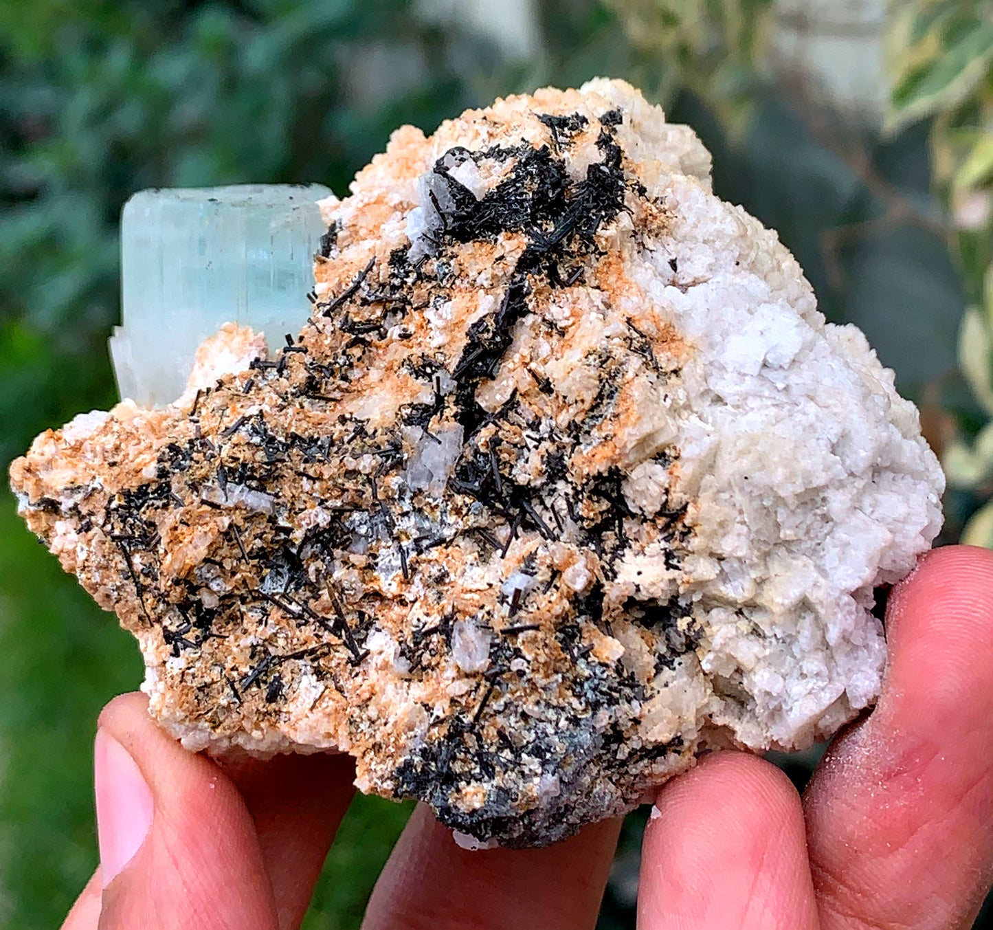 Aquamorganite Bi Color Beryl With Schorl Tourmaline Inclusions And Albite From Pakistan - 184 Gram