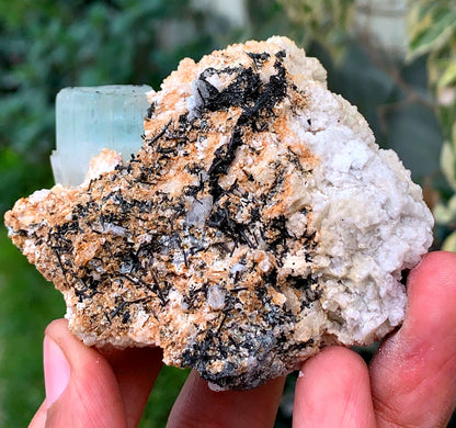 Aquamorganite Bi Color Beryl With Schorl Tourmaline Inclusions And Albite From Pakistan - 184 Gram