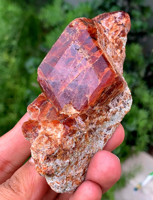 Hessonite Garnet Specimen From Pakistan