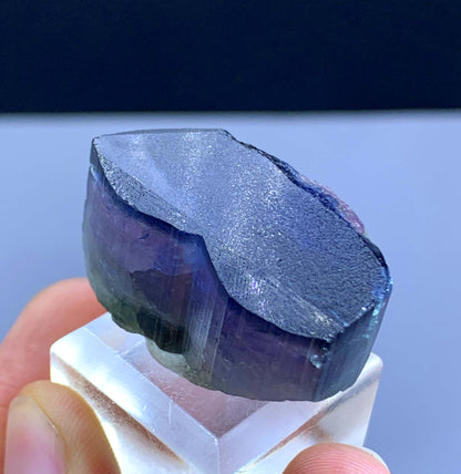 Terminated Gem Grade Tri Color Tourmline Crystal From Aghanistan - 23 Gram