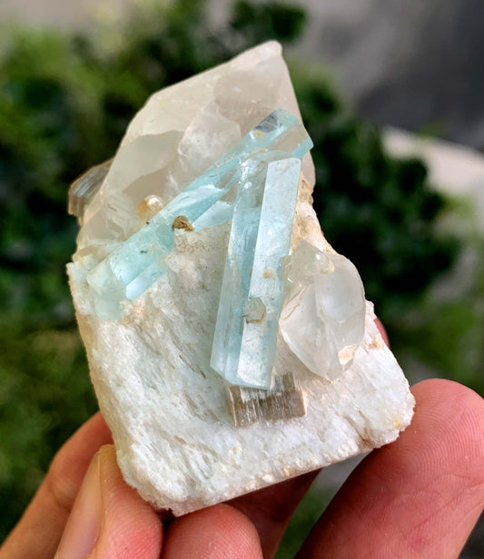 twin Sky Blue Aquamarine Crystals On Matrix from Pakistan - 71 Gram