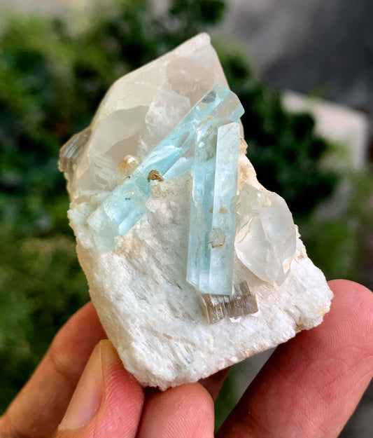twin Sky Blue Aquamarine Crystals On Matrix from Pakistan - 71 Gram