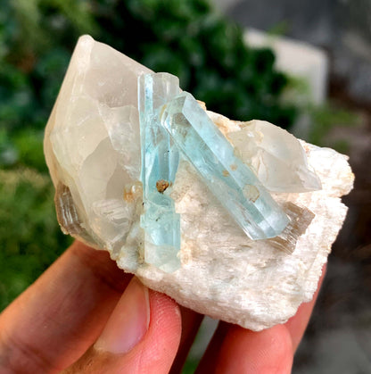 twin Sky Blue Aquamarine Crystals On Matrix from Pakistan - 71 Gram