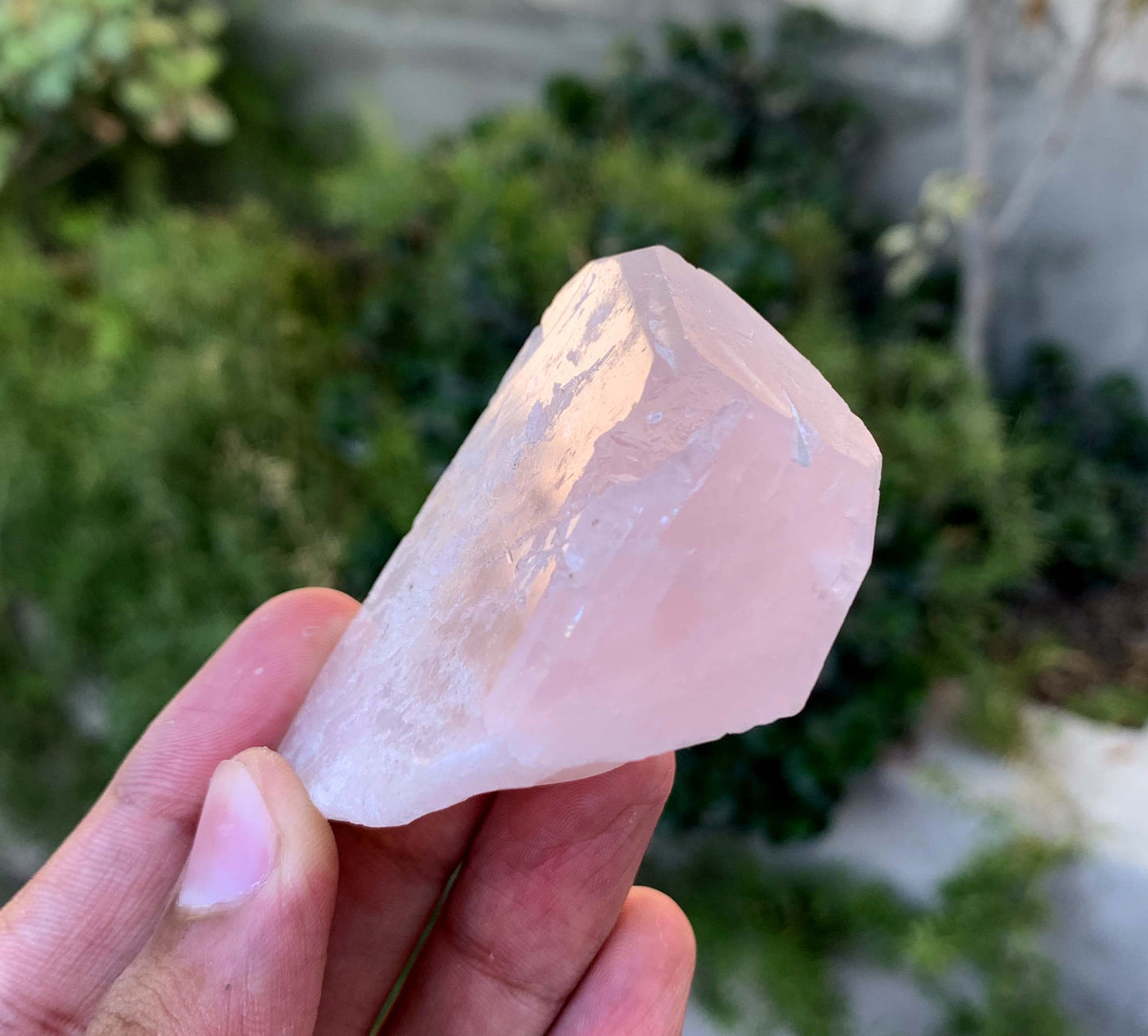 Pink Morganite Crystal From Afghanistan - 93 Gram