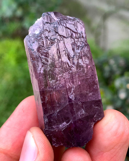 Purple Fluorescent Scapolite Crystal From Afghanistan