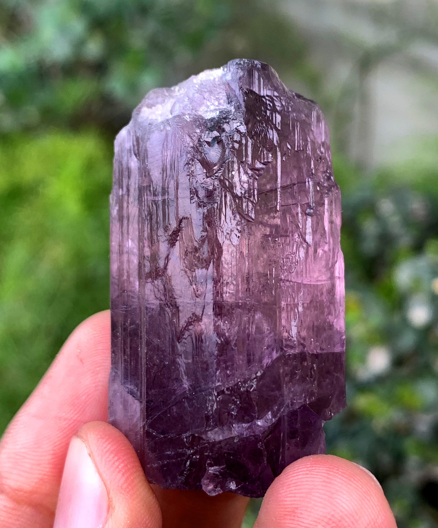 Purple Fluorescent Scapolite Crystal From Afghanistan