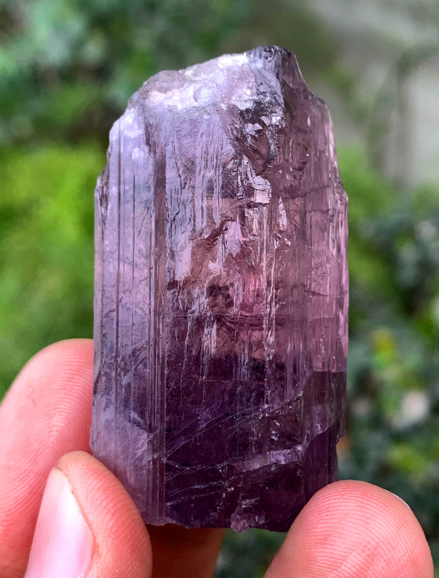 Purple Fluorescent Scapolite Crystal From Afghanistan