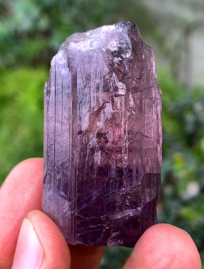 Purple Fluorescent Scapolite Crystal From Afghanistan