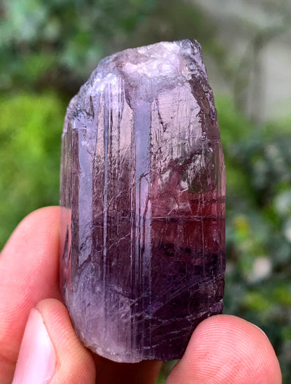 Purple Fluorescent Scapolite Crystal From Afghanistan