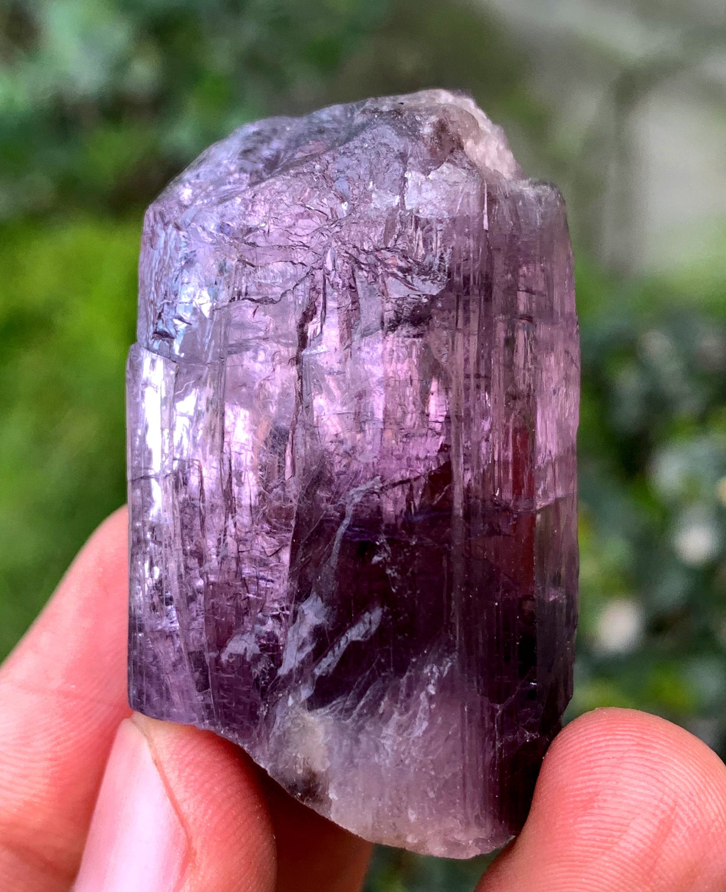 Purple Fluorescent Scapolite Crystal From Afghanistan