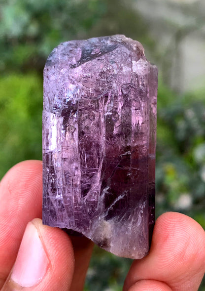 Purple Fluorescent Scapolite Crystal From Afghanistan