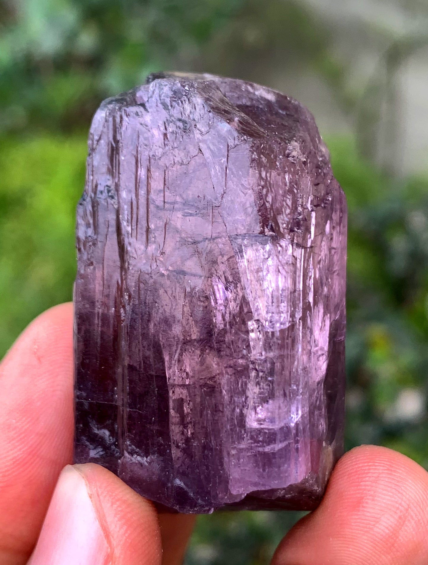 Purple Fluorescent Scapolite Crystal From Afghanistan