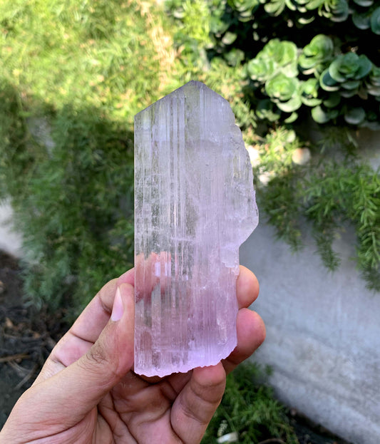 Tansparent Pink Fluorescent Kunzite Crystal From Afghnaistan - 171 Gram
