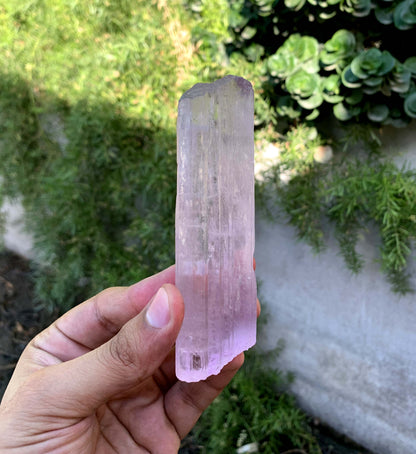 Tansparent Pink Fluorescent Kunzite Crystal From Afghnaistan - 171 Gram