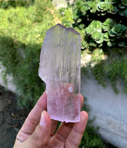 Tansparent Pink Fluorescent Kunzite Crystal From Afghnaistan - 171 Gram