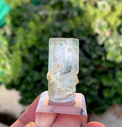 Aquamorganite Bi Color Beryl From Pakistan 65.95 Carats