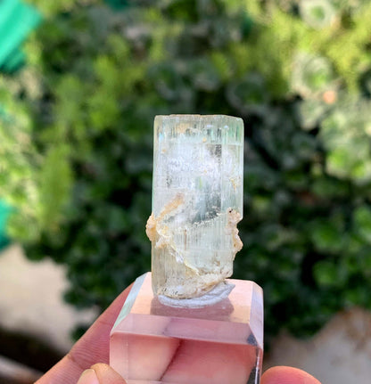 Aquamorganite Bi Color Beryl From Pakistan 65.95 Carats