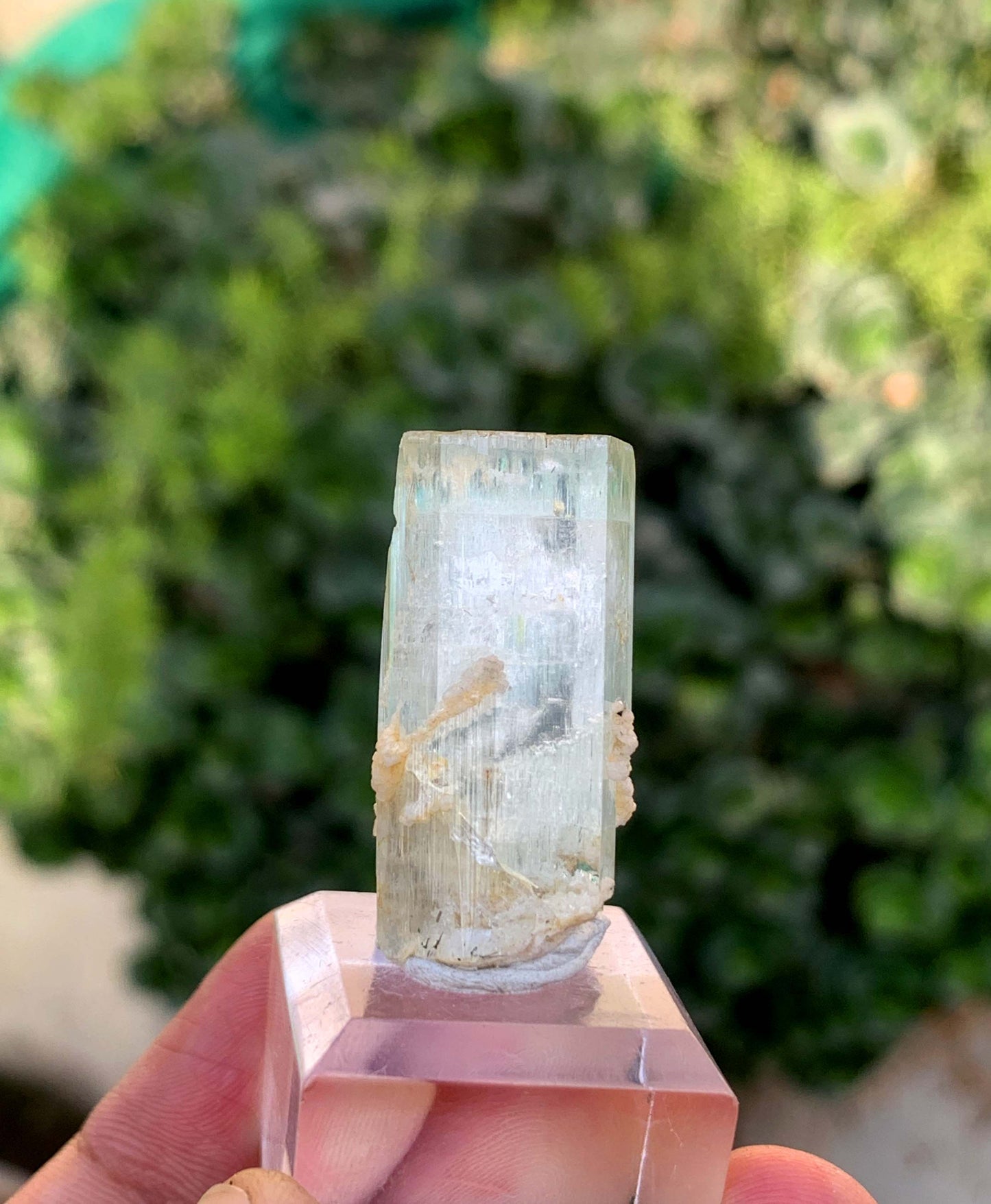 Aquamorganite Bi Color Beryl From Pakistan 65.95 Carats