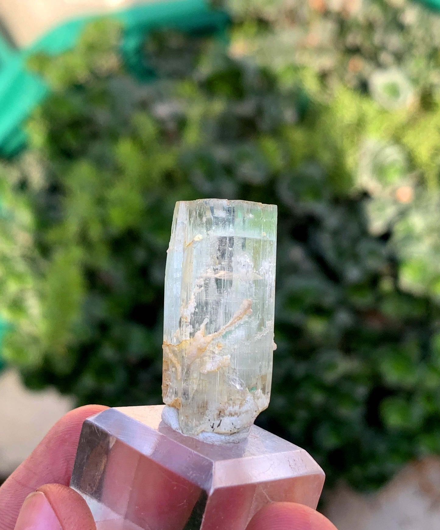 Aquamorganite Bi Color Beryl From Pakistan 65.95 Carats