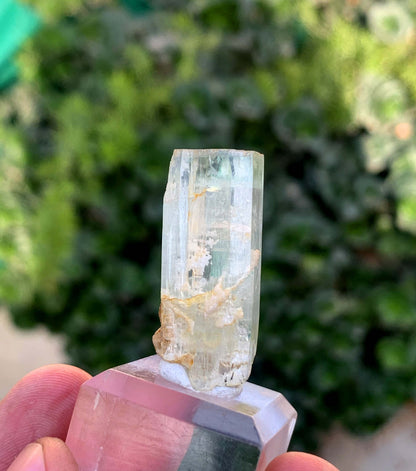 Aquamorganite Bi Color Beryl From Pakistan 65.95 Carats