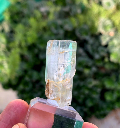 Aquamorganite Bi Color Beryl From Pakistan 65.95 Carats