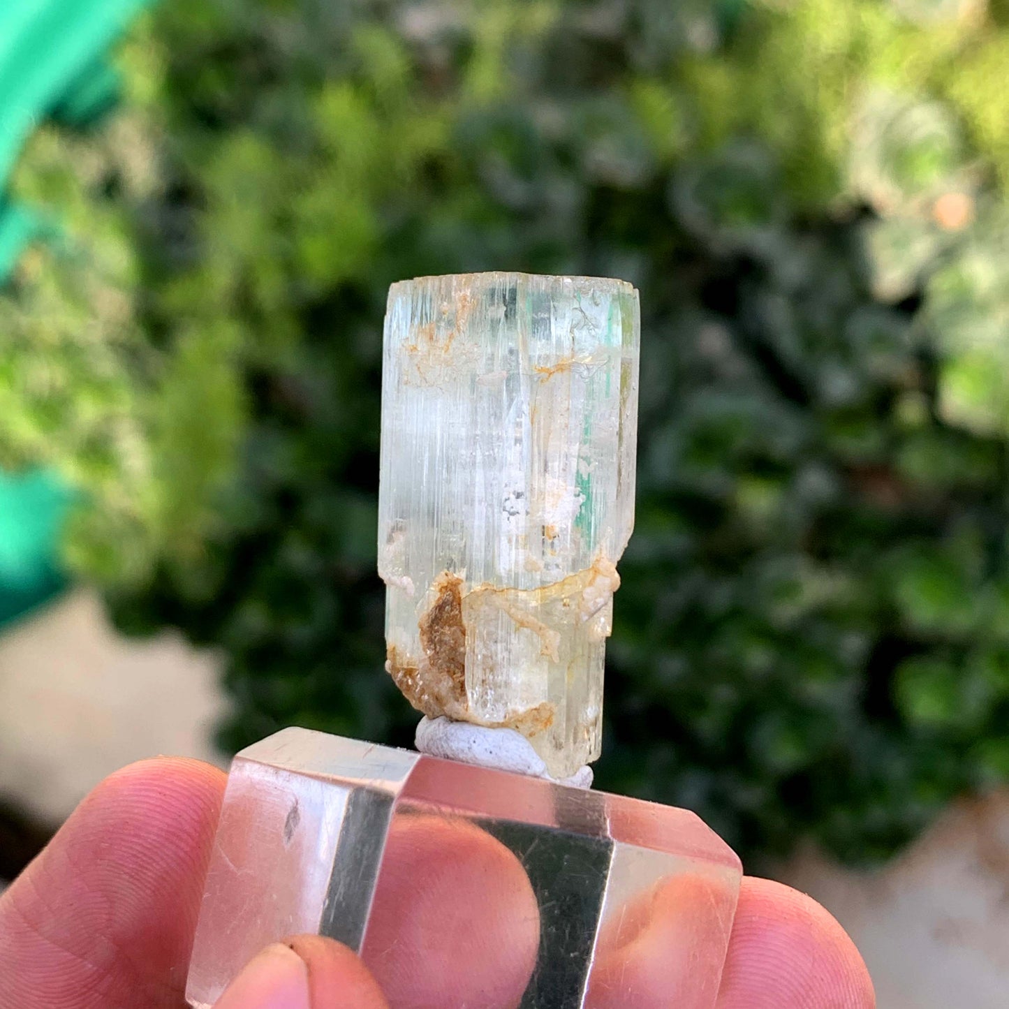Aquamorganite Bi Color Beryl From Pakistan 65.95 Carats