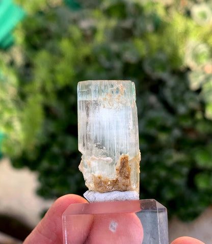 Aquamorganite Bi Color Beryl From Pakistan 65.95 Carats