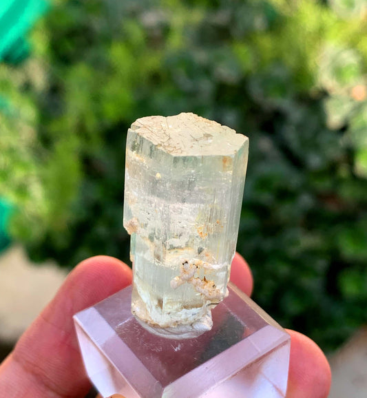 Aquamorganite Bi Color Beryl From Pakistan 65.95 Carats