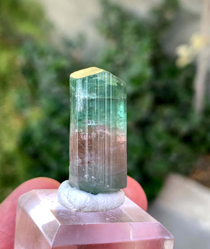 Natural Bi COlor tourmaline Crystal From Afghanistan 39.50 Carats