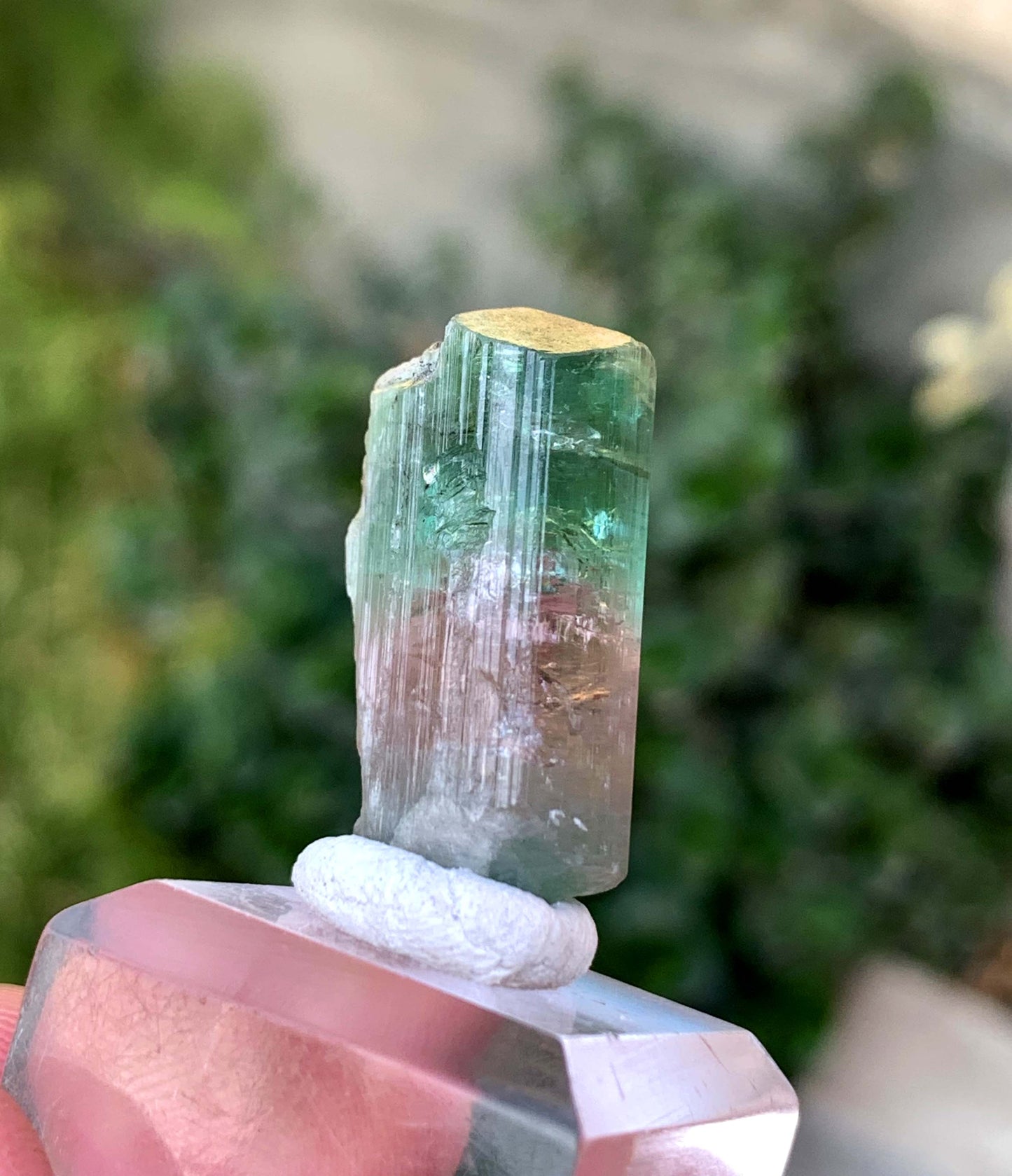 Natural Bi COlor tourmaline Crystal From Afghanistan 39.50 Carats
