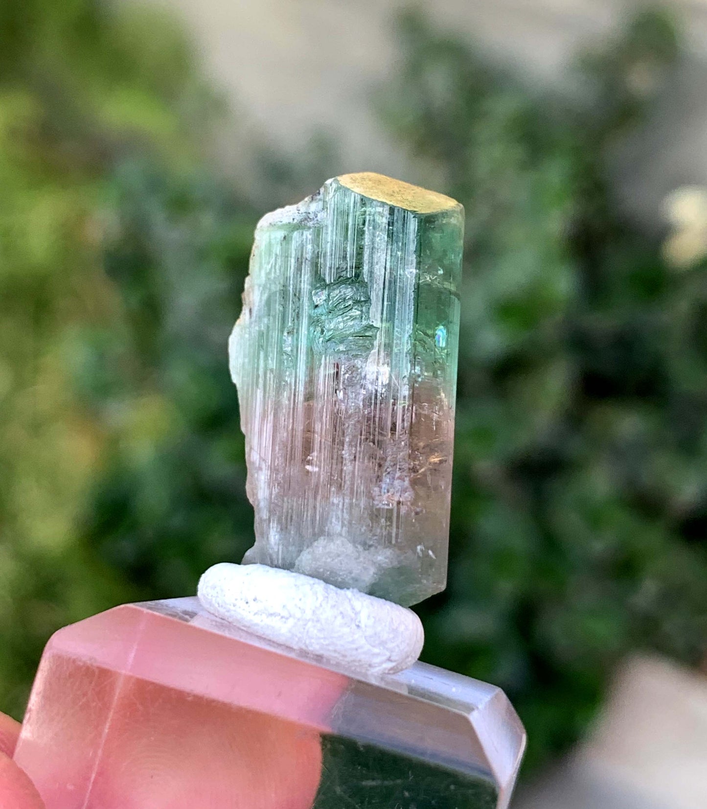 Natural Bi COlor tourmaline Crystal From Afghanistan 39.50 Carats
